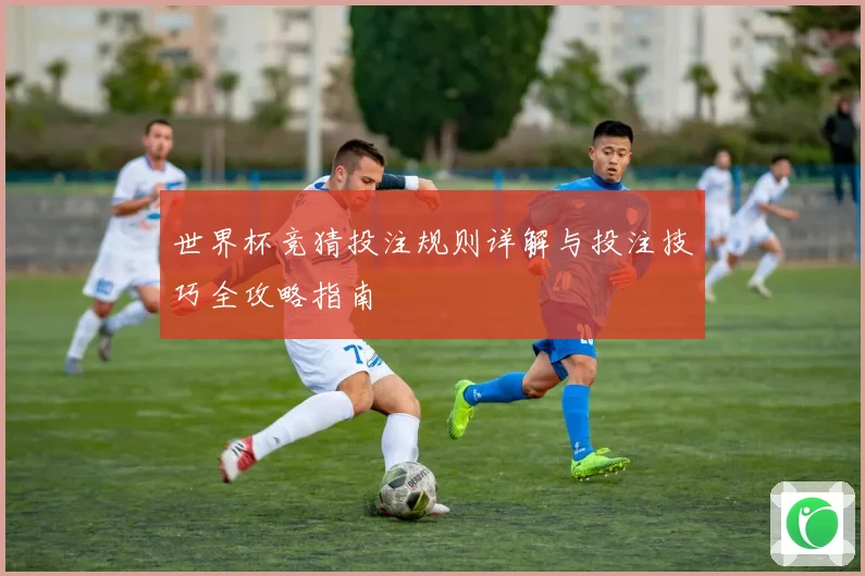 世界杯竞猜投注规则详解与投注技巧全攻略指南