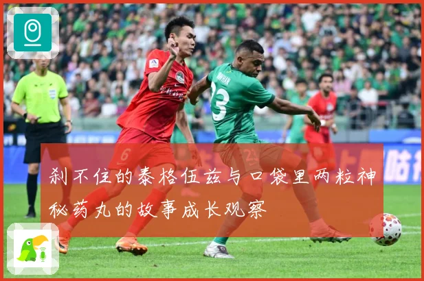 刹不住的泰格伍兹与口袋里两粒神秘药丸的故事成长观察